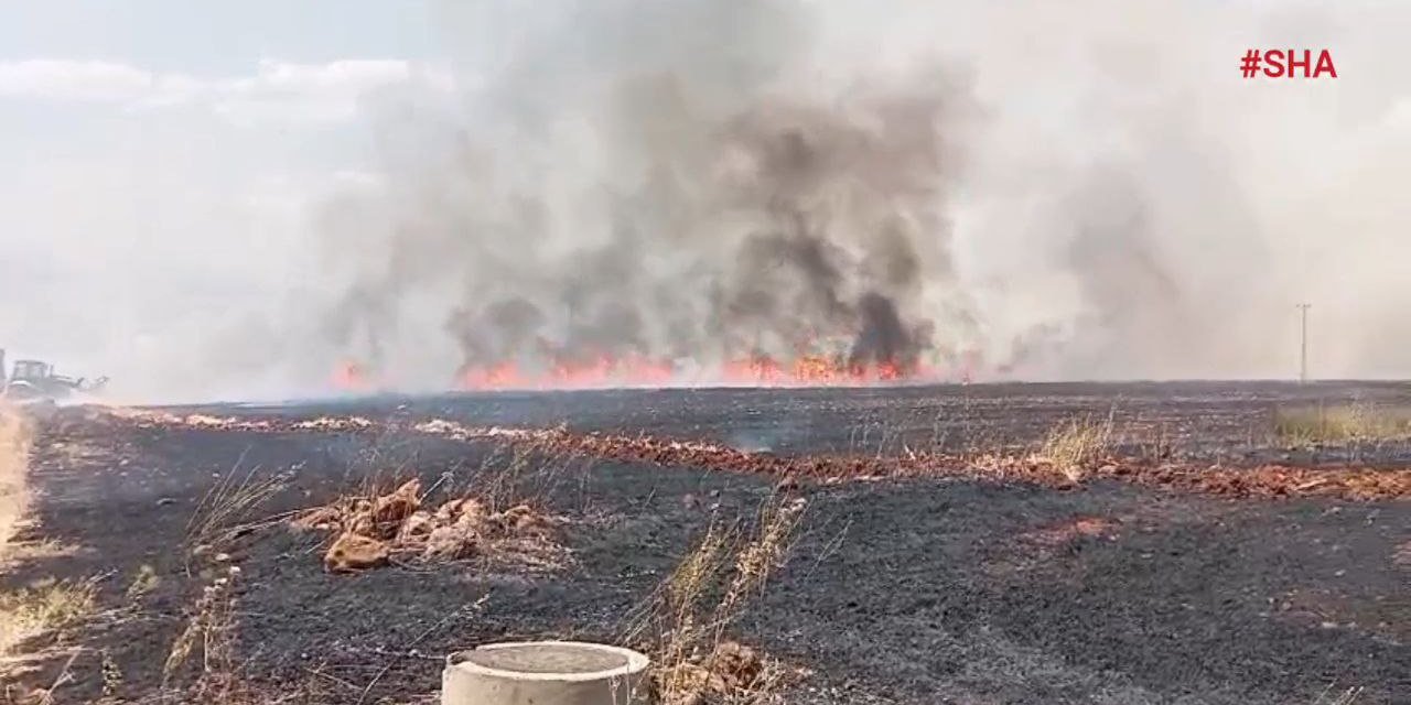 Pazarcık’ta bin dönümlük ekili alan yangında zarar gördü  
