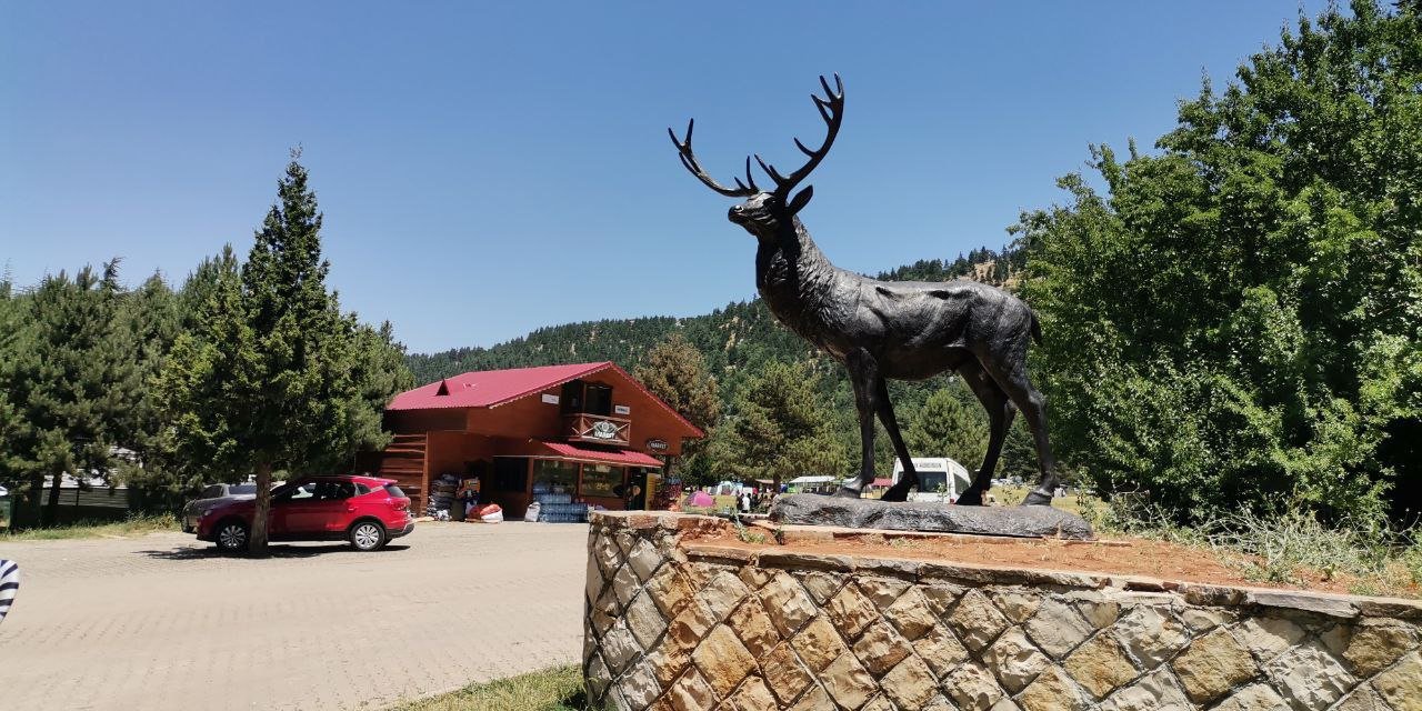 Eşsiz Doğa Güzelliği Başkonuş Yaylasında Eko Turizm Başladı