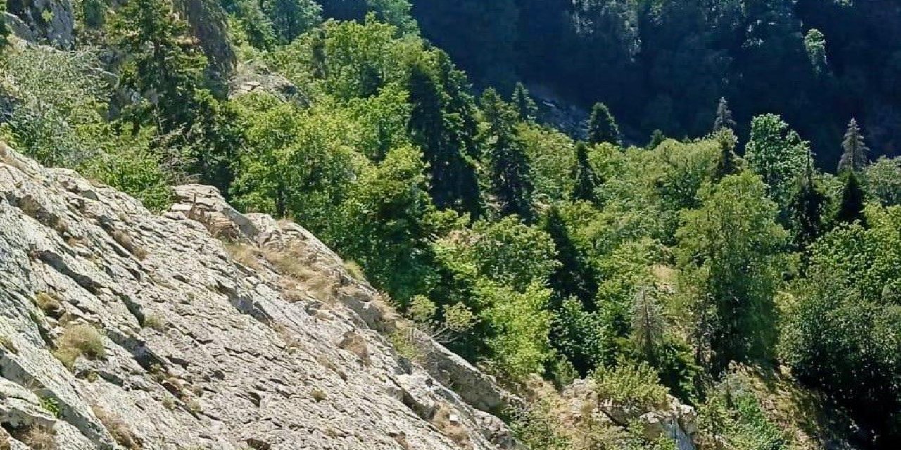 Kahramanmaraş’ta uçuruma düşen bir kişi aranıyor 