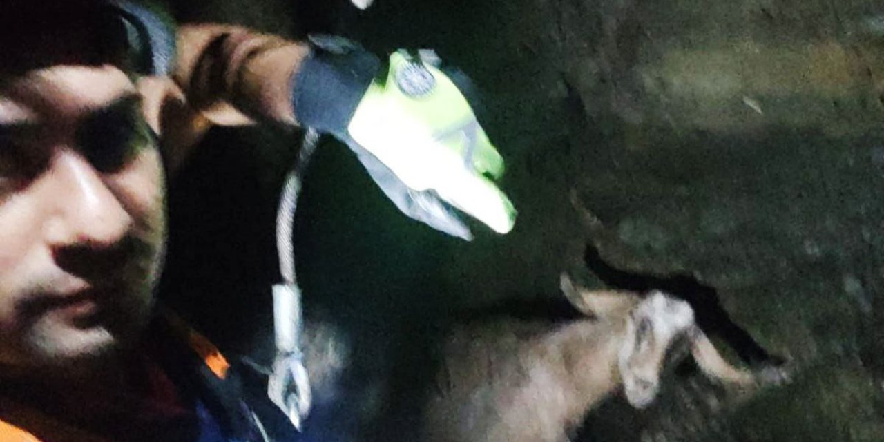 Türkoğlu’da itfaiye ekiplerinden keçi kurtarma operasyonu  