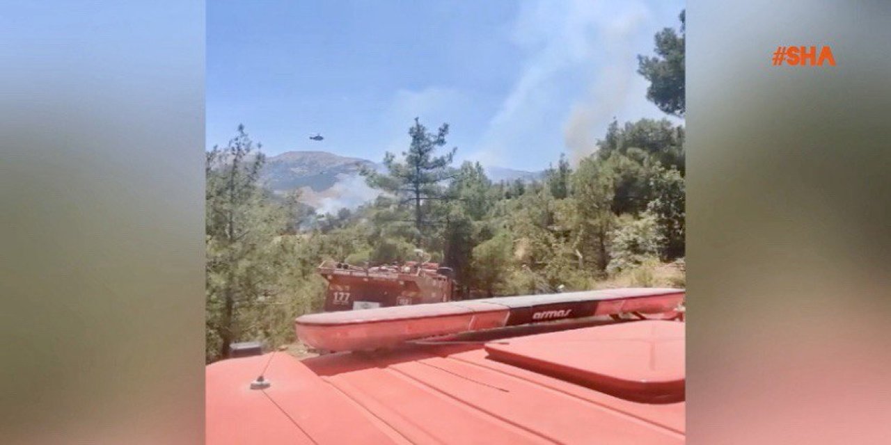 Kahramanmaraş’ta orman yangını