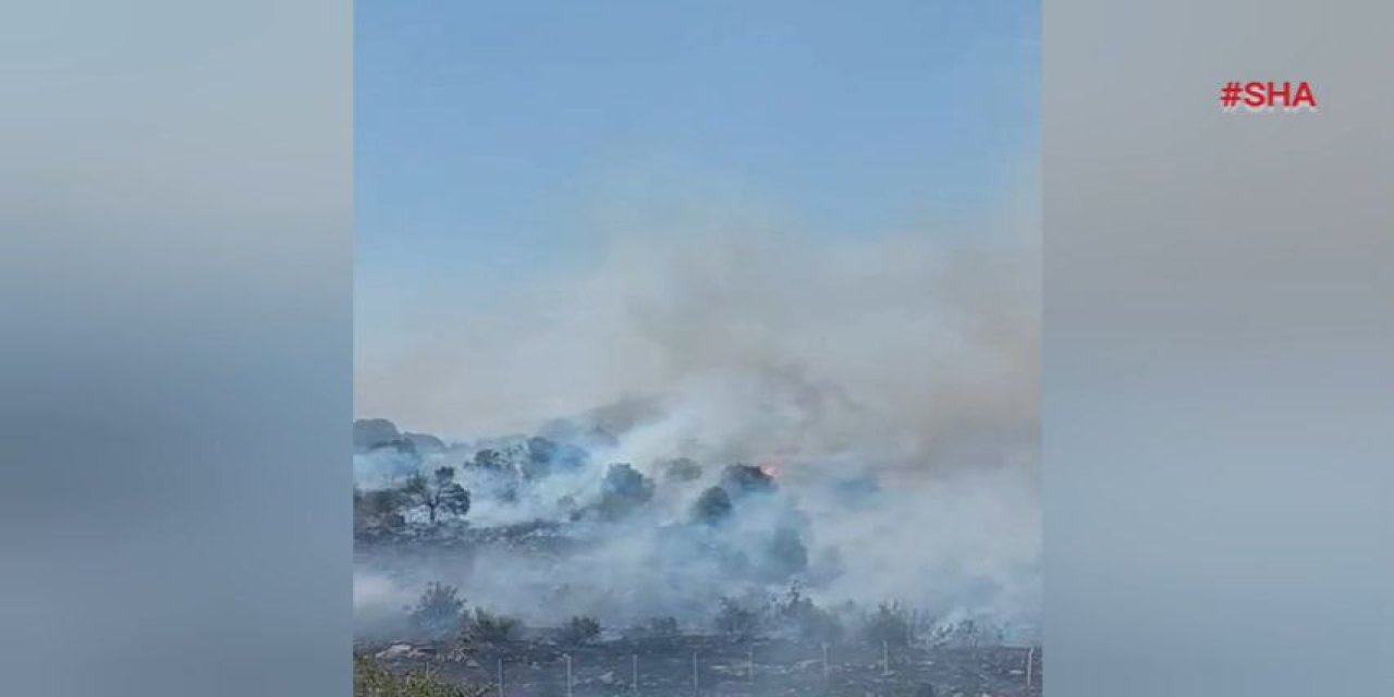 Pazarcık’ta orman yangını  