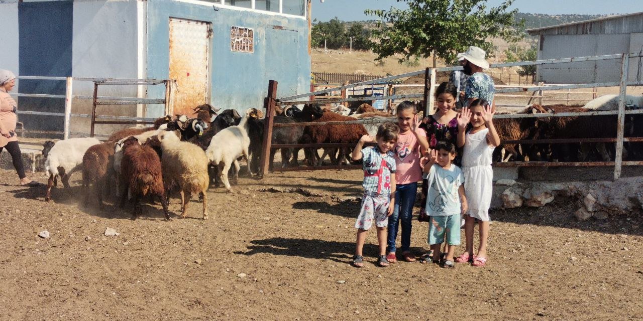 Pazarcık’ta bölgenin en büyük hayvan çiftliğini kurdu  