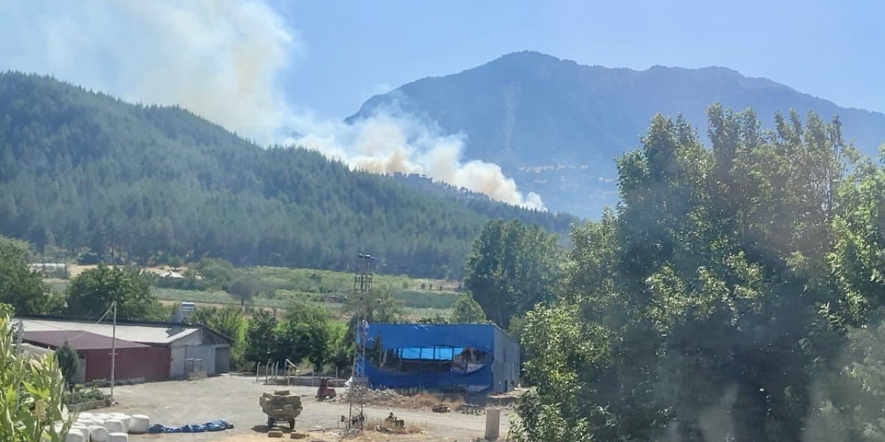 Kahramanmaraş’ın ciğerleri yanıyor!