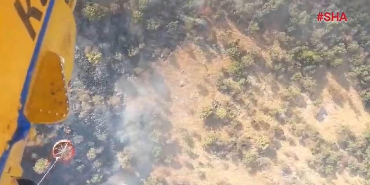 Ekinözü’nde orman yangını  