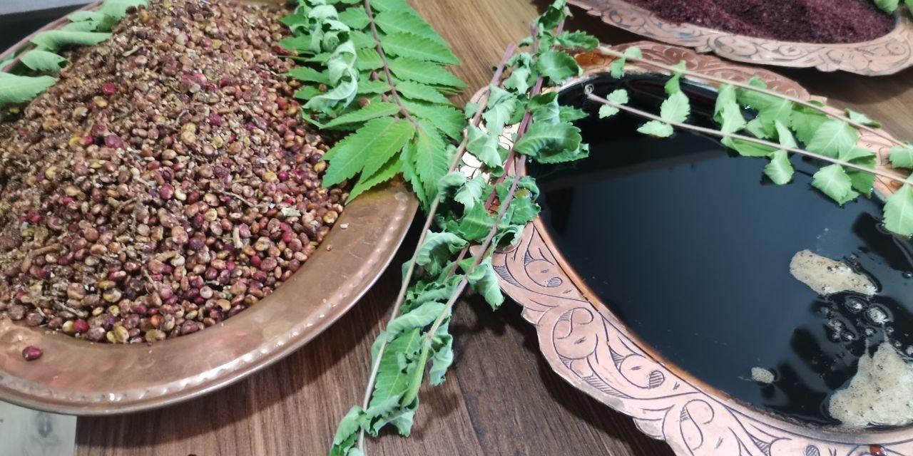 Kahramanmaraş'ta Çiftçilere Sumak Fidesi Üretimi Başladı 