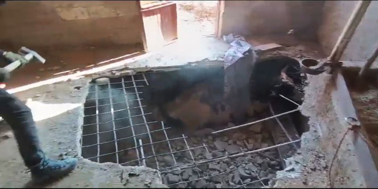 Kahramanmaraş’ta bodruma düşen inek kurtarıldı 