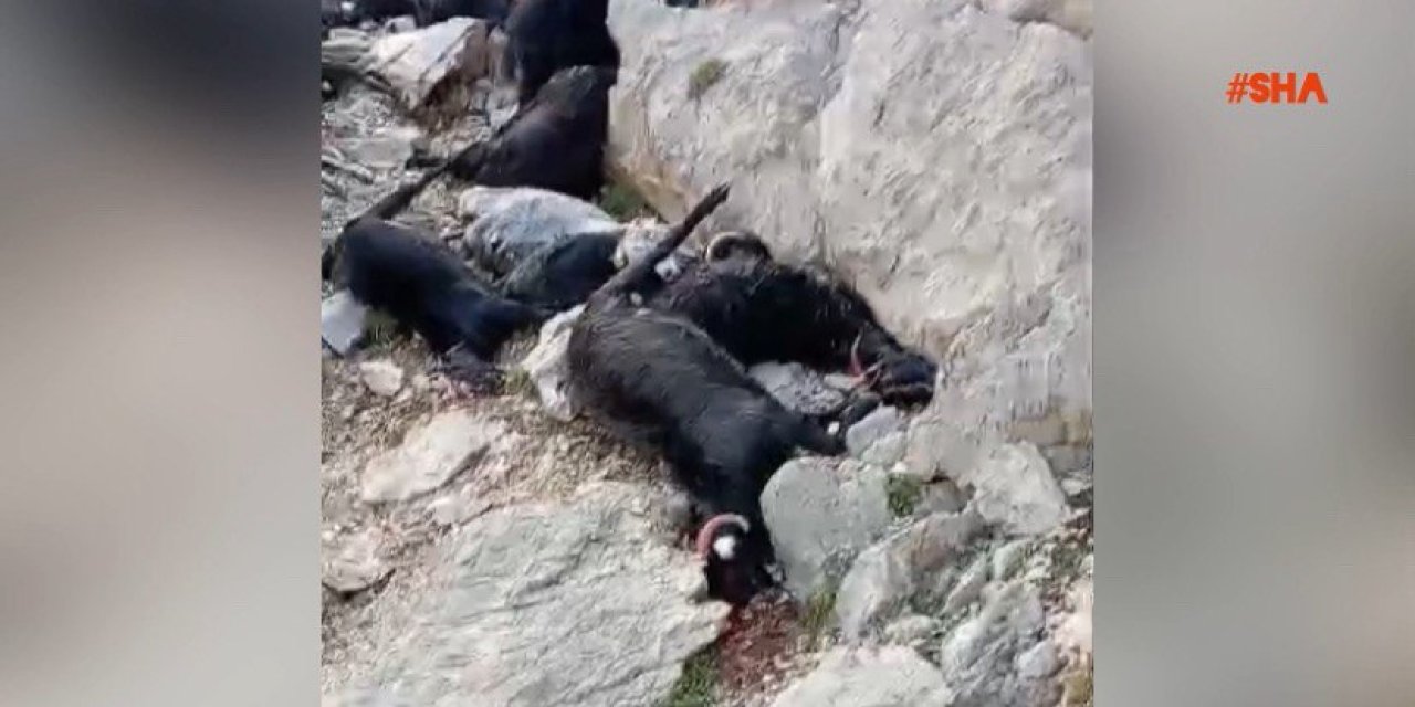 Kahramanmaraş'ta yıldırım düşmesi sonucu 100 keçi telef oldu