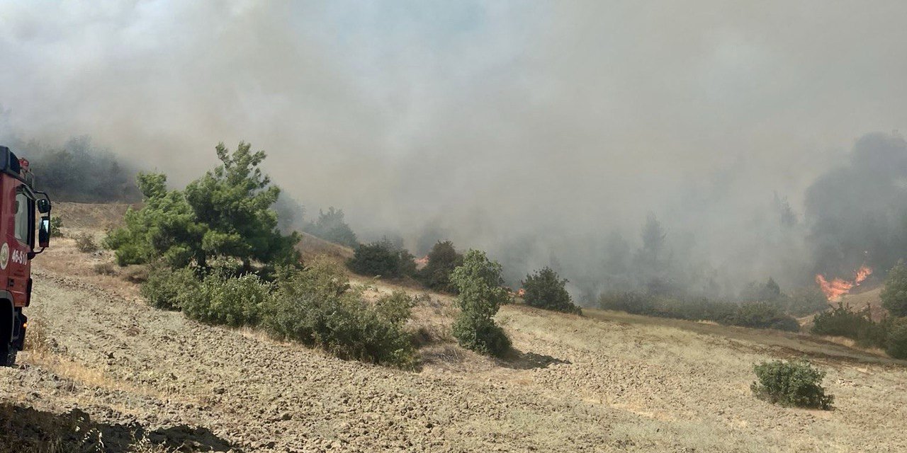 Kahramanmaraş'ta orman yangını