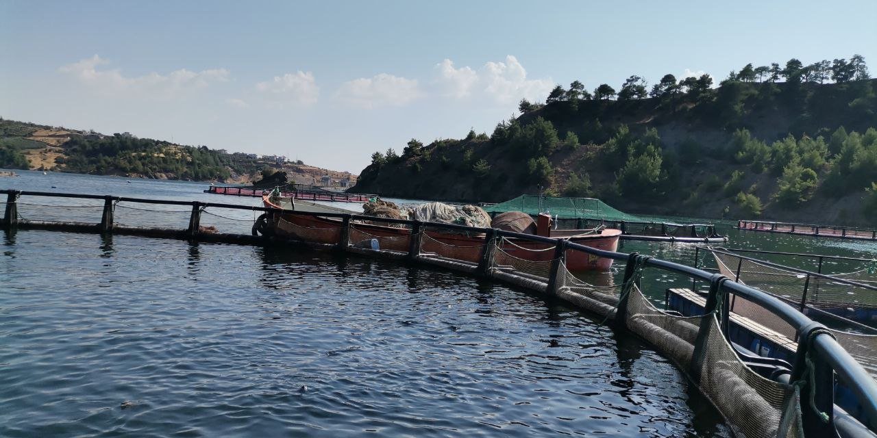 Kahramanmaraş'ta Alabalık Tutma Yarışması 