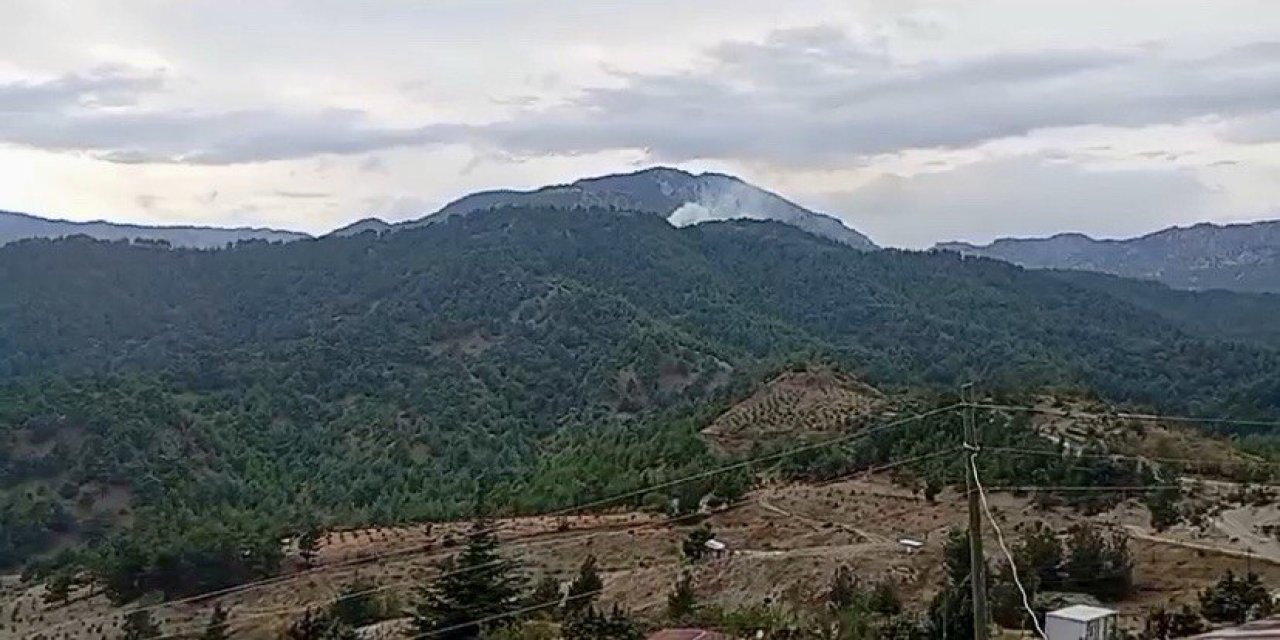 Kahramanmaraş’ta orman yangını  