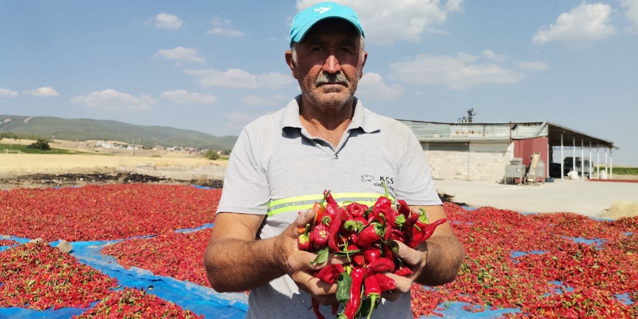 Kahramanmaraş'ta 50 Bin Ton Maraş Biberi Üretildi 