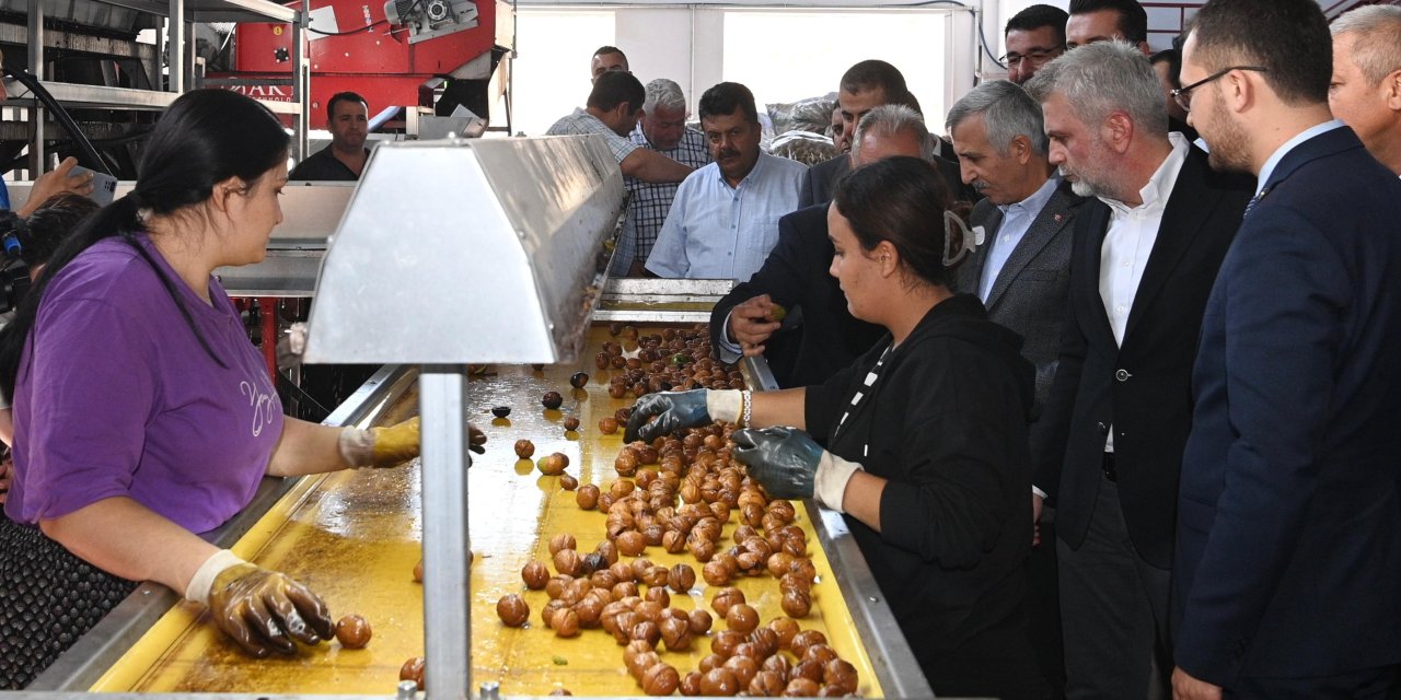 Çağlayancerit 8. Ceviz ve Kültür Festivali Gerçekleştirildi