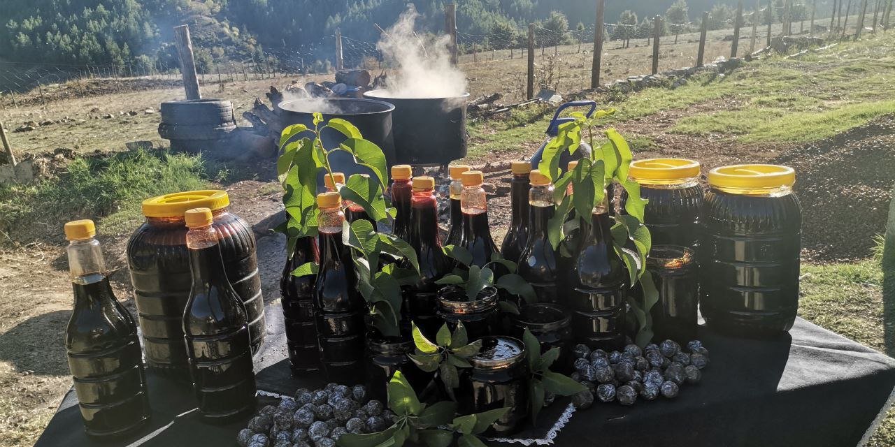 Andırın Yaylalarında Tescilli Andız Pekmezi Üretimi Başladı 