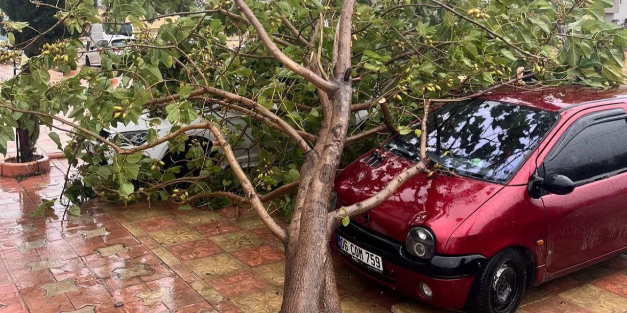 Kahramanmaraş’ta çatılar uçtu ağaçlar devrildi  