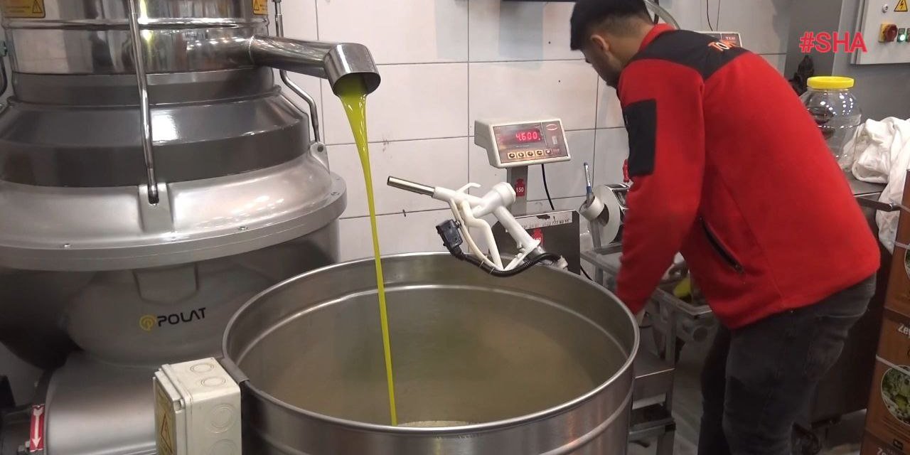 Kahramanmaraş’ta Deprem Sonrası 15 Bin Ton Zeytinyağı Üretildi 