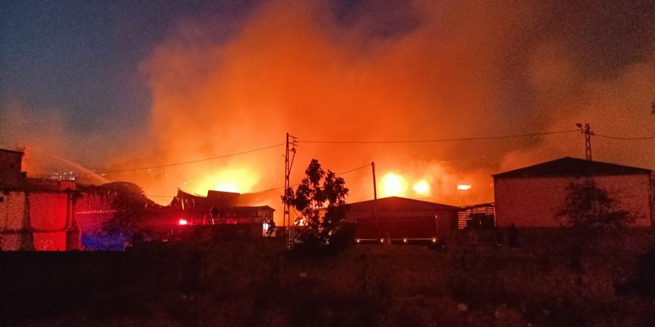 Kaliforniya'da Büyük Orman Yangını!