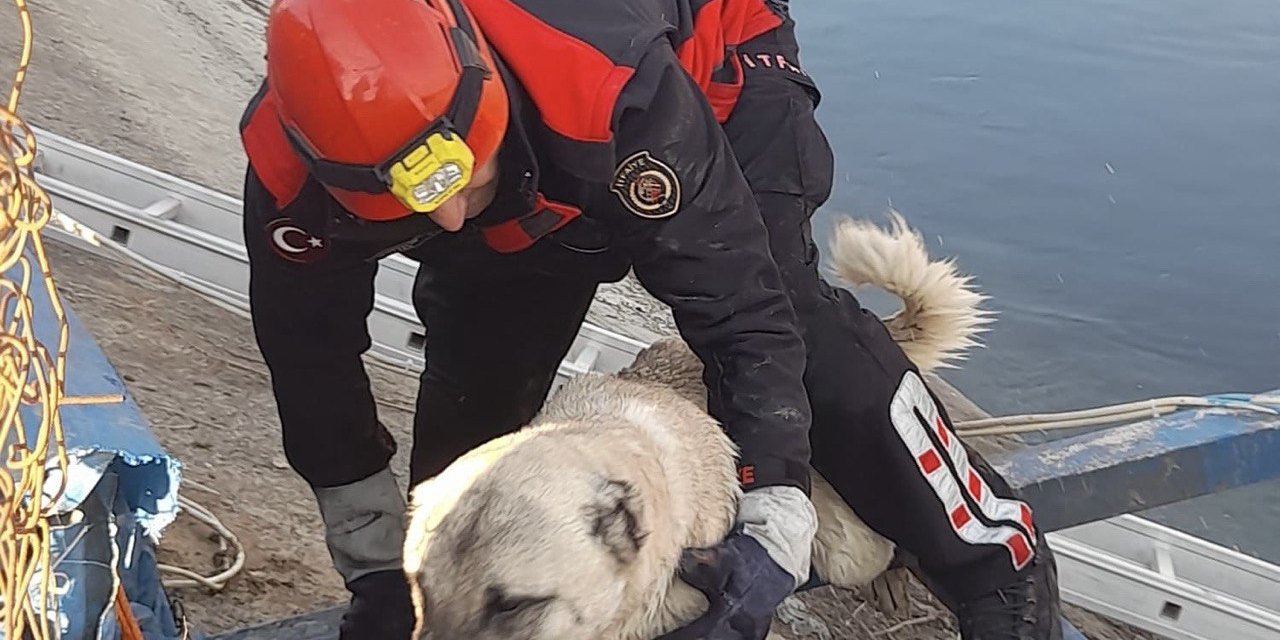 Kahramanmaraş’ta su kanalına düşen köpeğin imdadına itfaiye ekipleri yetişti