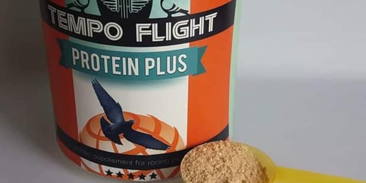 Protein Tozu Kullanımında Dikkat Edilmesi Gerekenler
