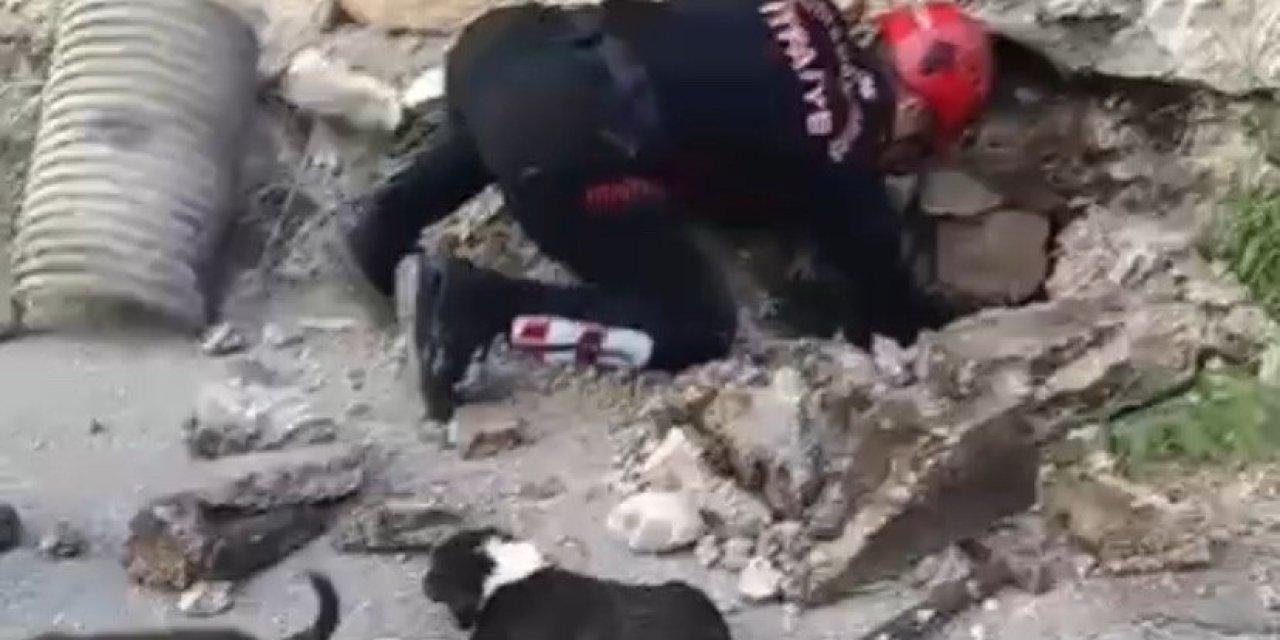 Kahramanmaraş’ta Su Giderine Sıkışan Köpek Yavruları Kurtarıldı