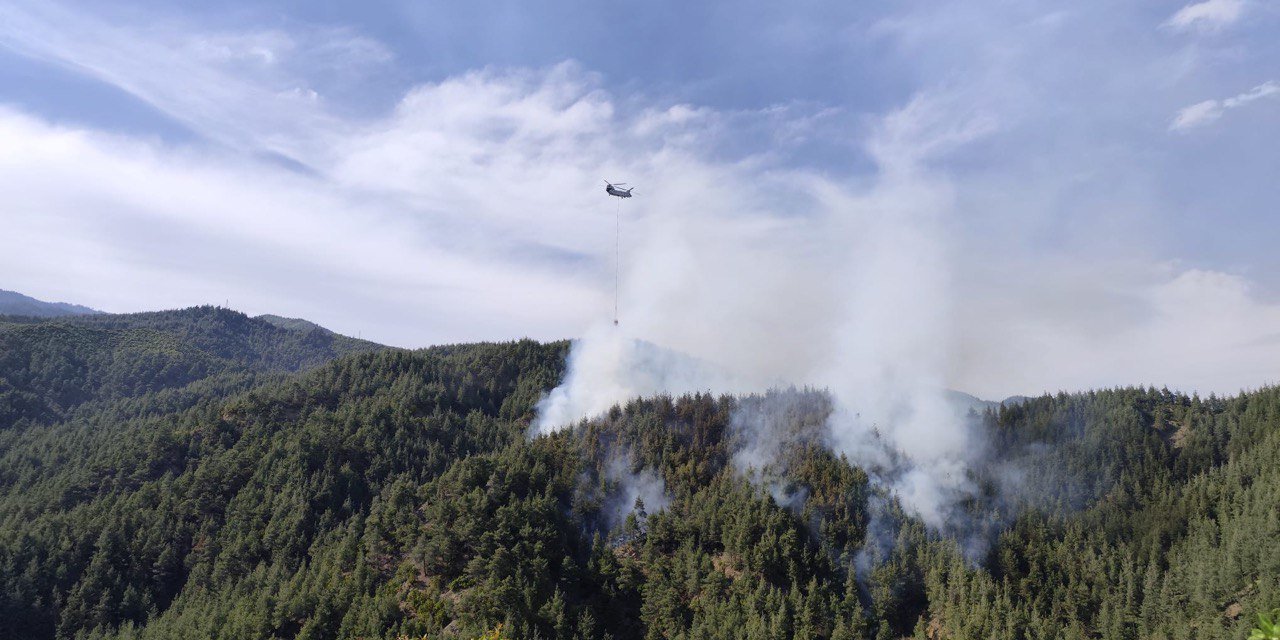 Kahramanmaraş’ta orman yangını