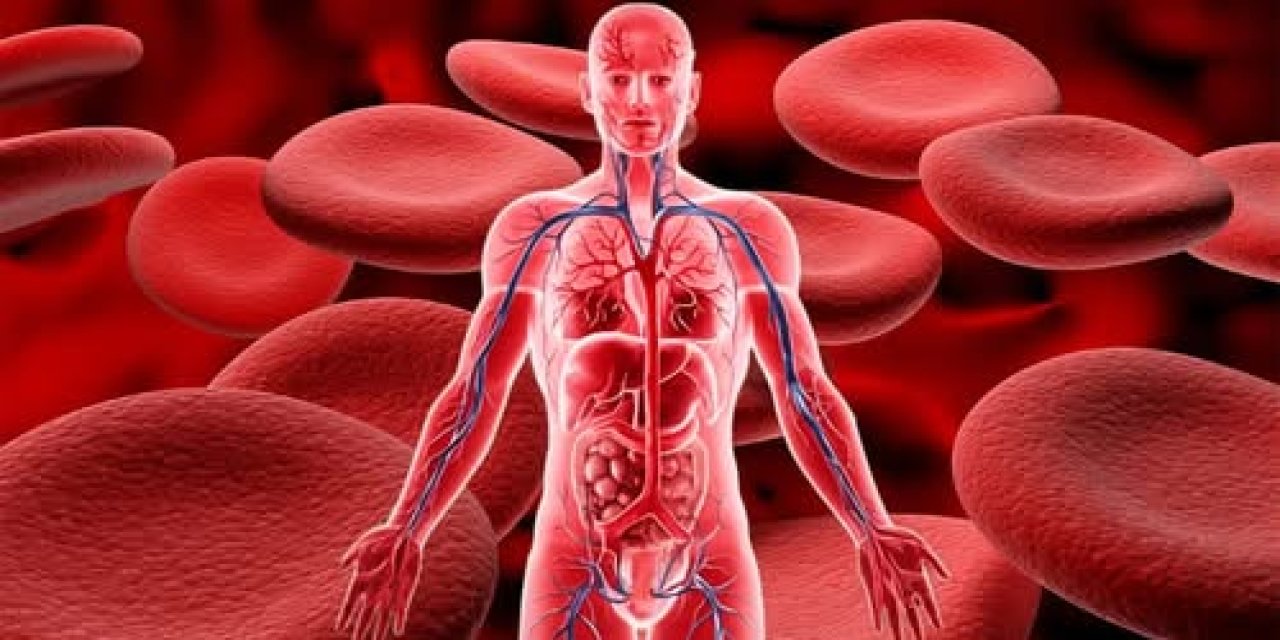 Hematolojik Tedavide Kan Yapıcı Gıdalar