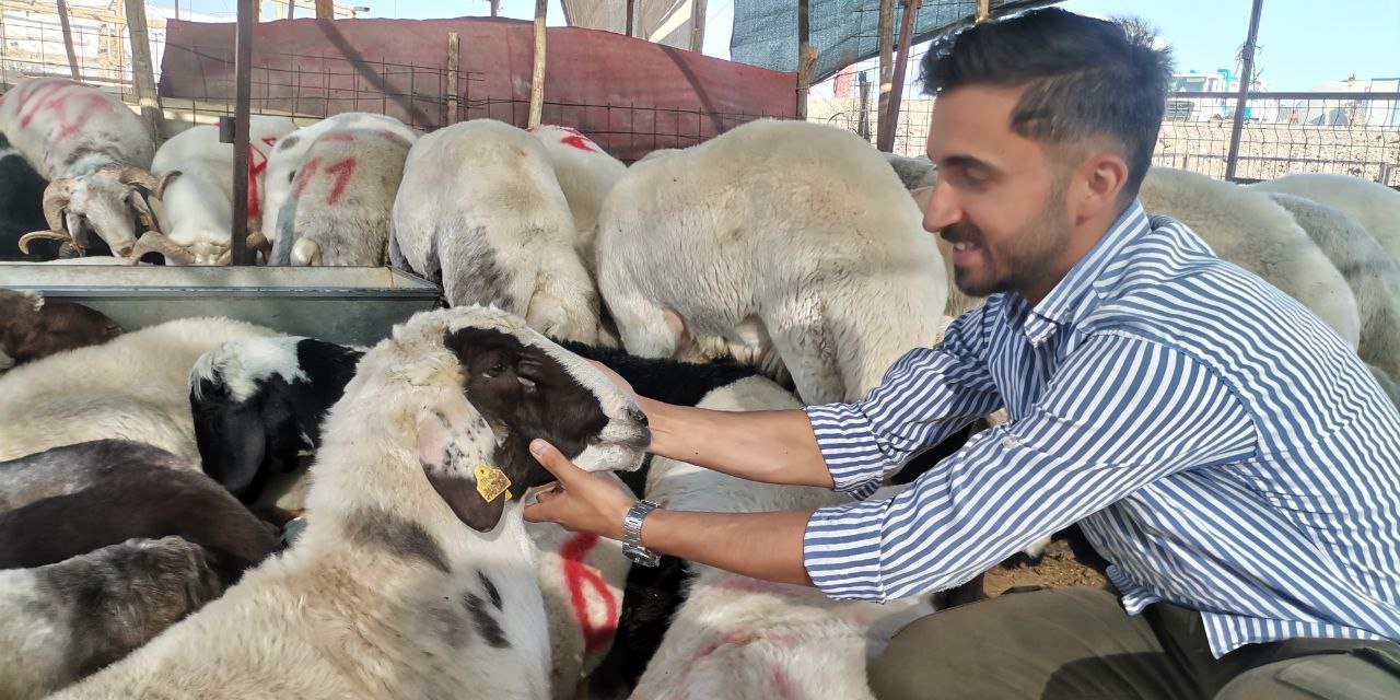 Kahramanmaraş’ta Kurbanlık Telaşı 