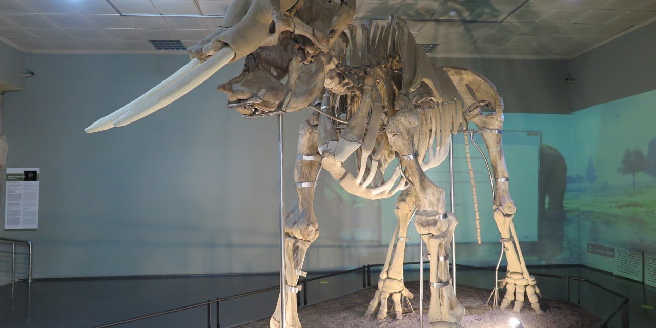 Kahramanmaraş belgeseli yayımlandı 