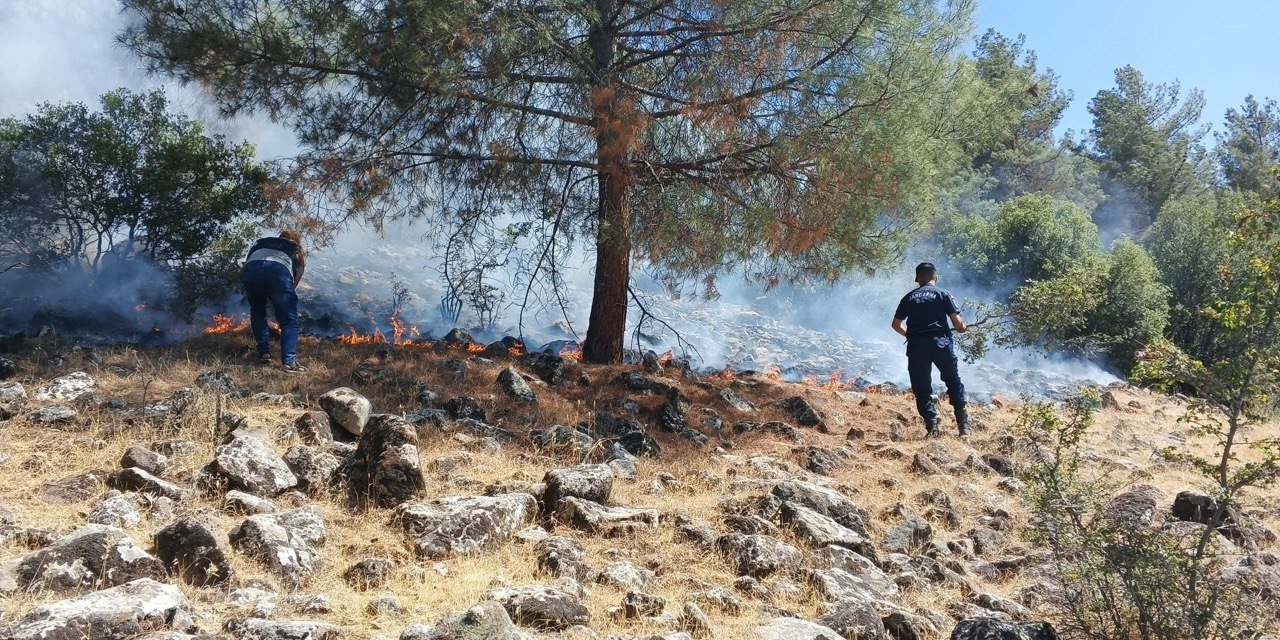 Kahramanmaraş’ta piknik yapmak istediler ormanı yaktılar