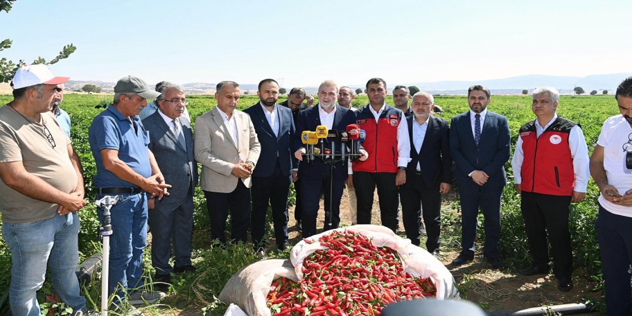 Coğrafi İşaretli Maraş Biberi Hasadı Başladı…