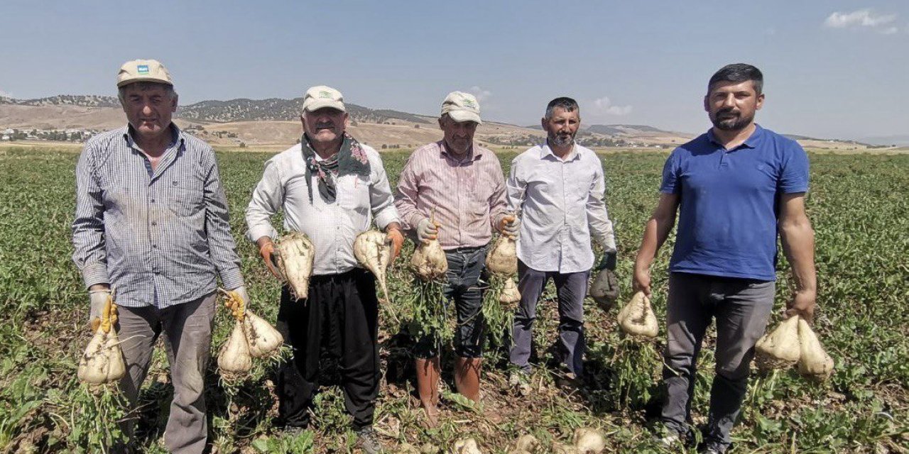 Depremzede çiftçiler pancar üretiminde devrim yaptı 