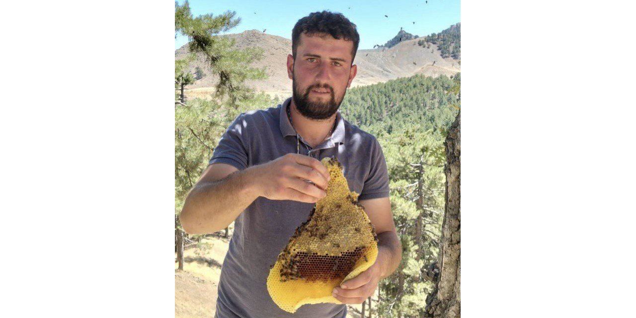 Kahramanmaraş’ta arıların izini sürerek para kazanıyor 