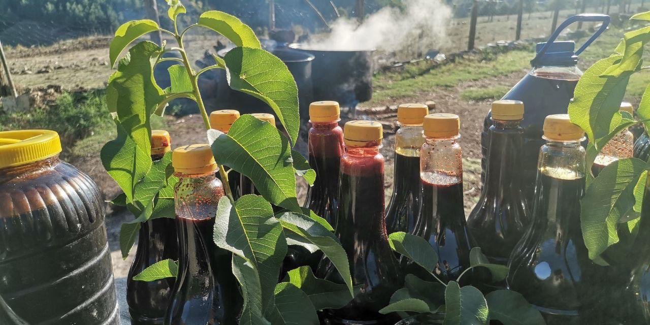 Andırın’da Tescilli Andız Pekmezi Üretimi Başladı