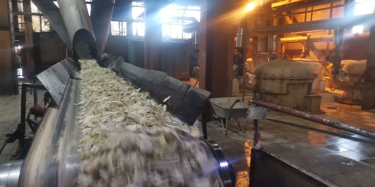 Kahramanmaraş’ta Pancar Hasadı Başladı: Rekor Üretim Bekleniyor