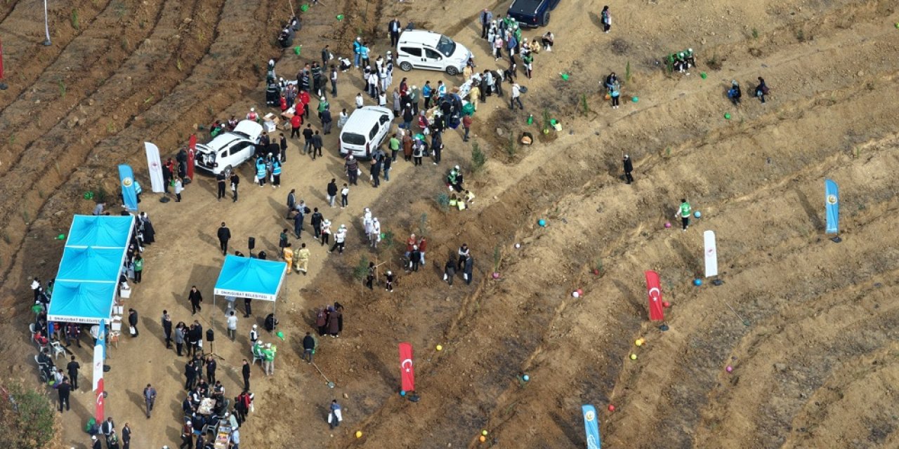 Milli Ağaçlandırma Günü’nde yangından etkilenen alanları yeniden yeşertti