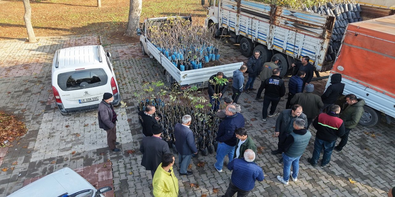 Bin 500 Üreticiye 193 Bin Adet Fidan Desteği