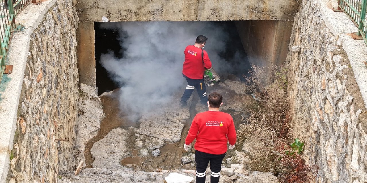 Vektör Zararlılarına Karşı Kışlak İlaçlama Başladı