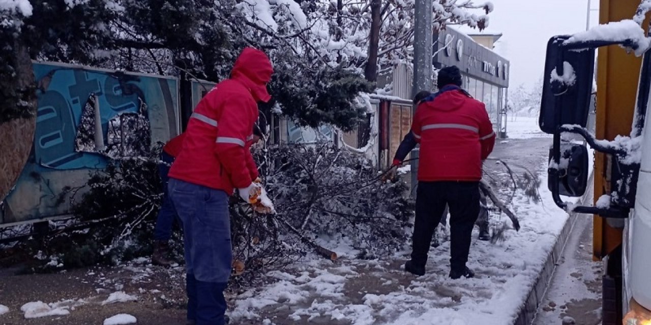 Yoğun Kar Yağışıyla Kırılan Ağaç Dallarına Hızlı Müdahale