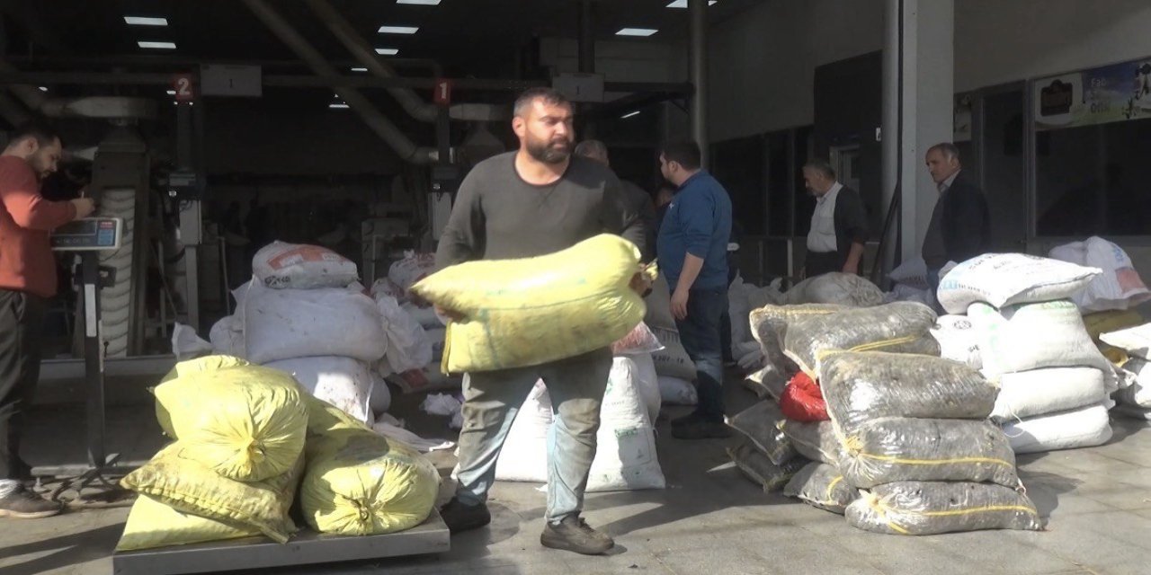 Kahramanmaraş’ta 5 Bin Ton Sızma Zeytinyağı Üretildi