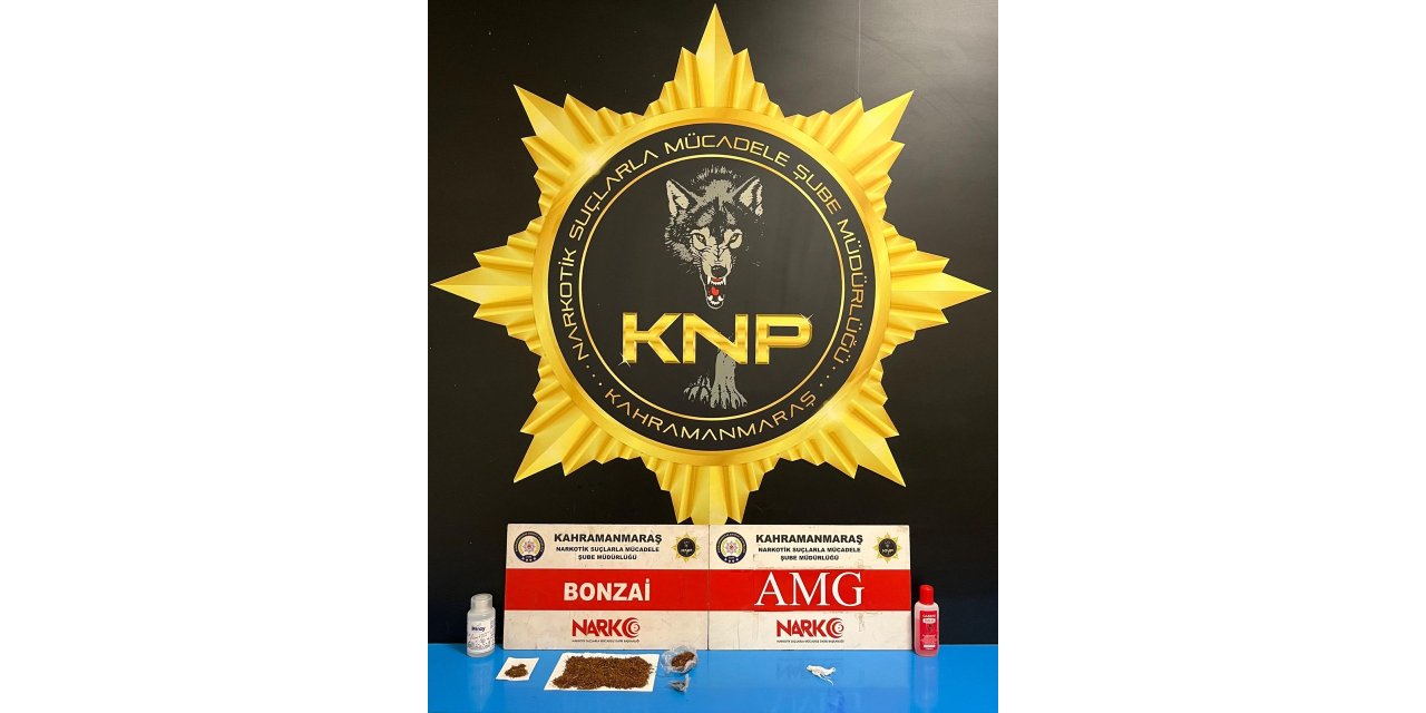 Kahramanmaraş’ta Narkotik Operasyonu: 2 Tutuklama
