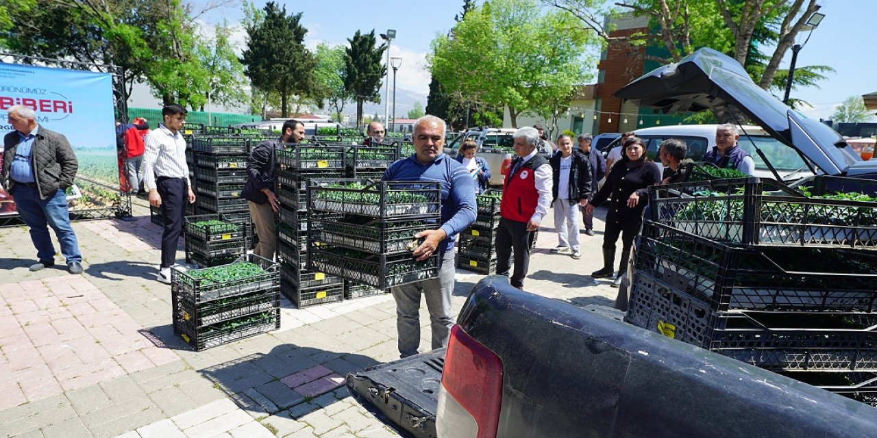 Üreticiye 650 Bin Hibe Biber Fidesi!