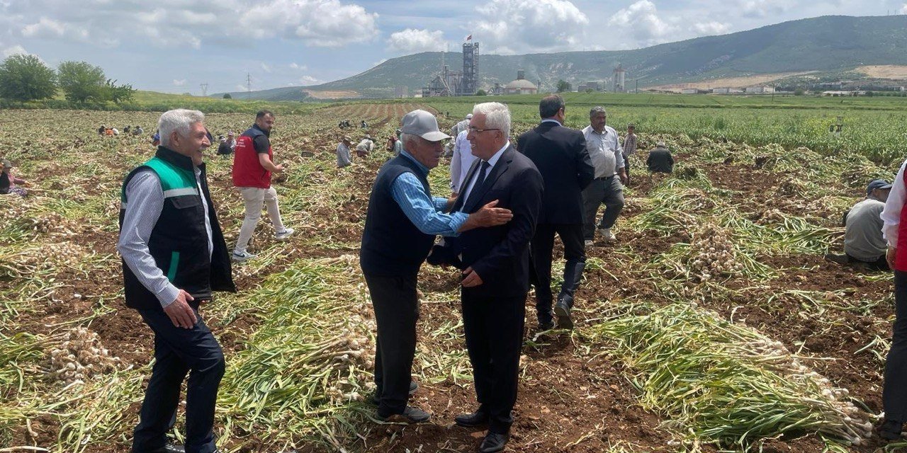 Kahramanmaraş’ta beyaz altın hasadı yapıldı