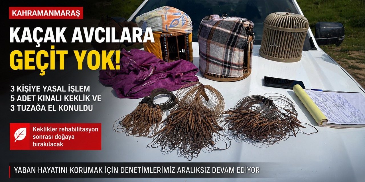 Kahramanmaraş’ta Kaçak Avcılığa Geçit Yok: 3 Kişiye Yasal İşlem