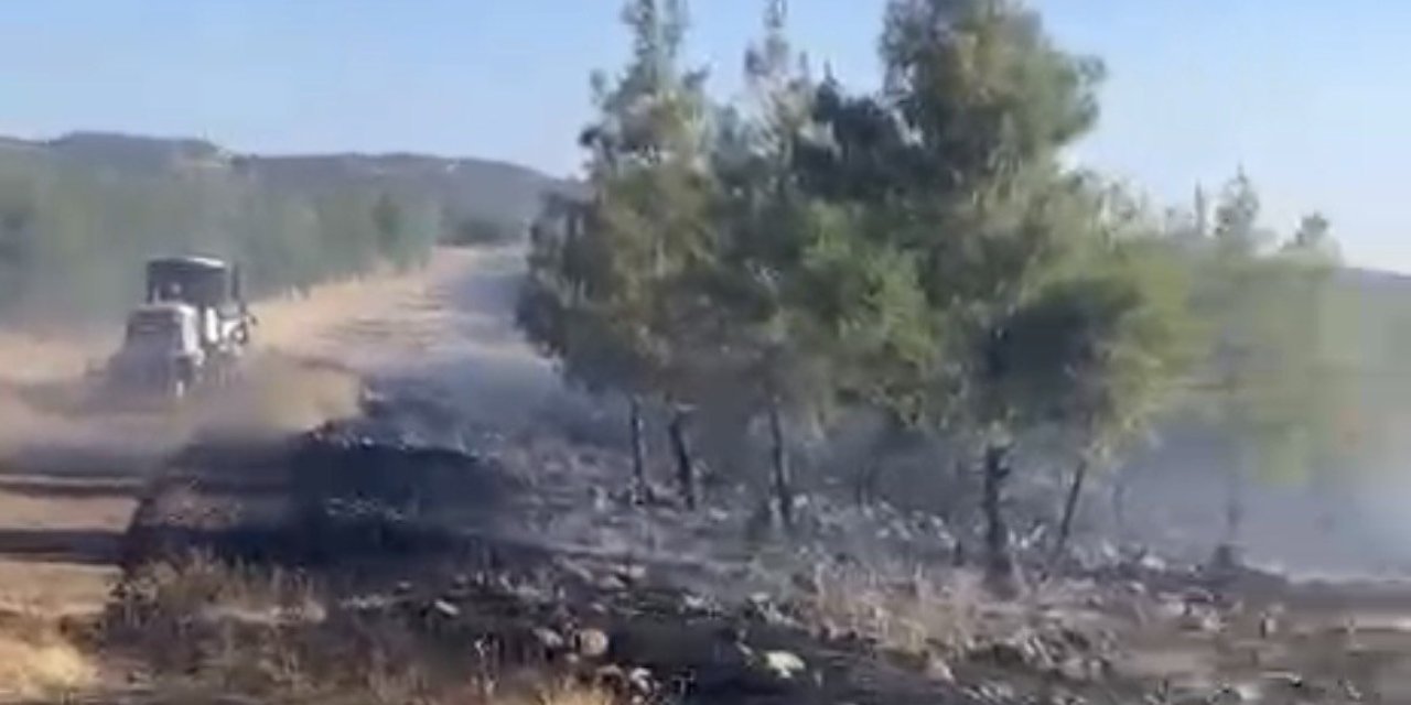 Gaziantep’te orman yangını kontrol altına alındı