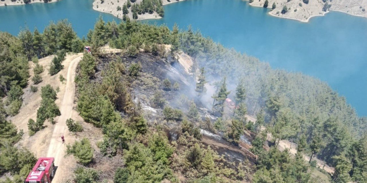Kahramanmaraş’ta orman yangını