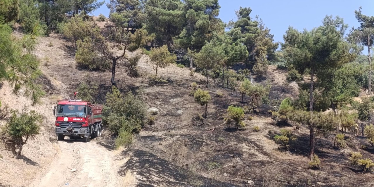 Kahramanmaraş’ta Orman Yangını