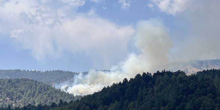 Kahramanmaraş’ta orman yangını
