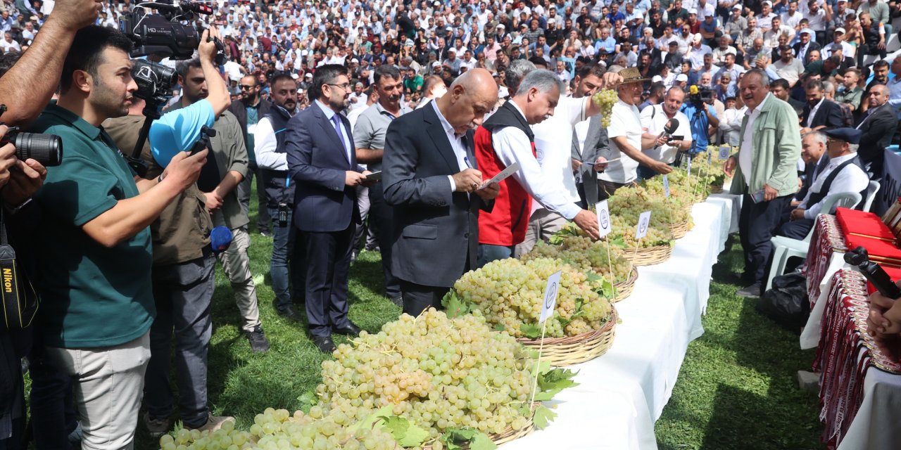 Bertiz’de 30. Kez Er Meydanı Kuruluyor