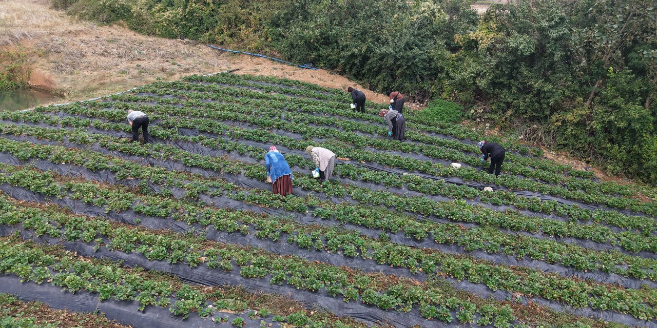 Kadınların Emeği “Kahraman Kadın” Platformu ile Daha Geniş Kitlelere Ulaşıyor