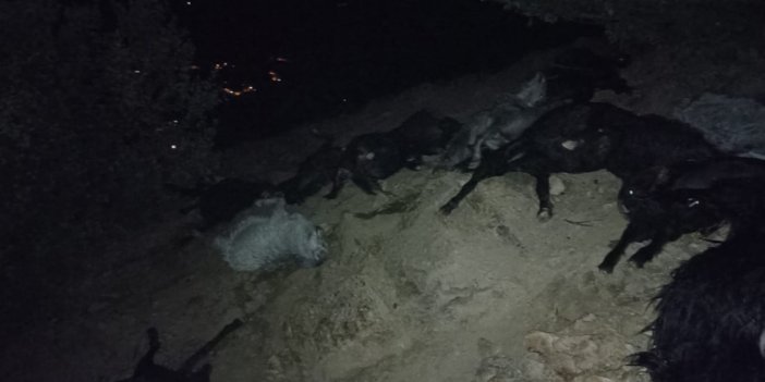 Kahramanmaraş’ta yıldırım düştü: 20 keçi telef oldu
